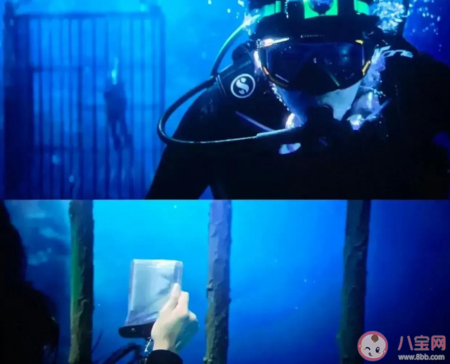 《消失的她》李木子最后為什么摘掉了護(hù)目鏡氧氣罩 為什么在海里李木子會(huì)進(jìn)鐵籠子