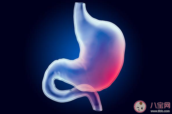 長期吃很多胃會撐大嗎 少吃點胃就會變小嗎 長期吃很多胃會撐大嗎 少吃點胃就會變小嗎