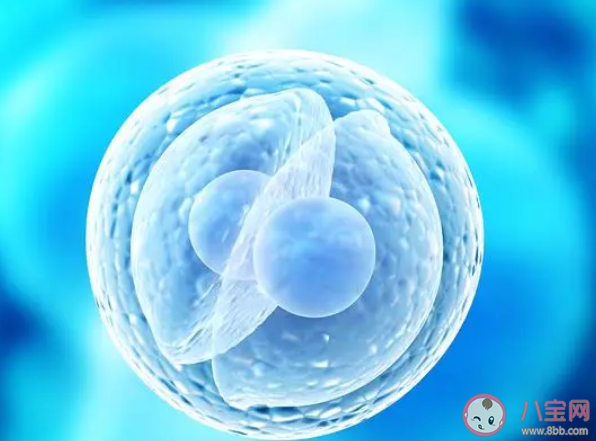 智商越高生育越晚生的越多嗎 父母晚生的孩子更聰明嗎