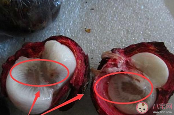 變得透明的山竹能吃嗎 吃山竹有什么好處