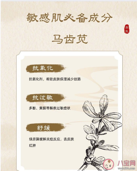 馬齒莧是敏感肌救星嗎 馬齒莧有什么功效作用