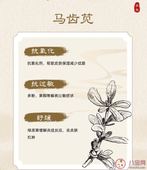 馬齒莧是敏感肌救星嗎 敏感肌用什么護膚品好