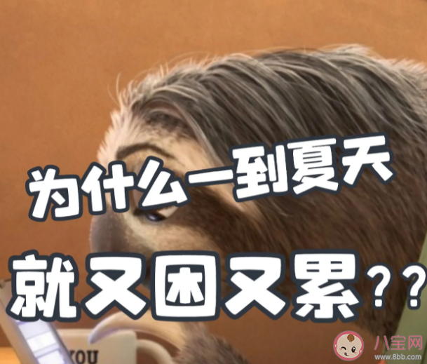 為什么天熱容易犯困 夏天犯困怎么提升