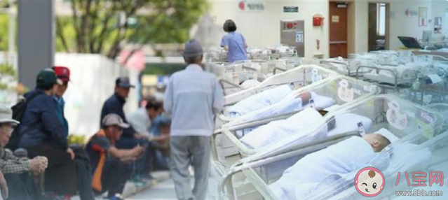 韓國25至49歲男性近半無婚史是真的嗎 近33%的女性未婚是為什么 韓國25至49歲男性近半無婚史是真的嗎 近33%的女性未婚是為什么