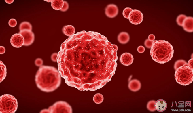 血漿置換能抗衰老永葆年輕嗎 換血抗老有什么風險 血漿置換能抗衰老永葆年輕嗎 換血抗老有什么風險