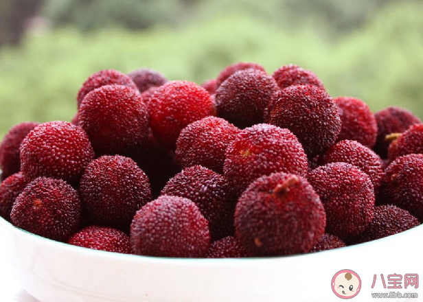 楊梅和海鮮同食會中毒嗎 食用楊梅的注意事項