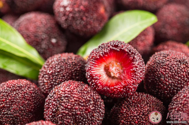 楊梅和海鮮同食會中毒嗎 食用楊梅的注意事項