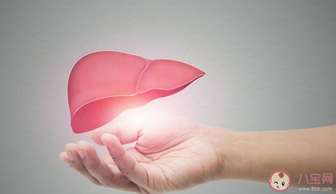 肝臟不好會讓人變丑嗎 哪些不良習慣會影響肝臟健康 肝臟不好會讓人變丑嗎 哪些不良習慣會影響肝臟健康