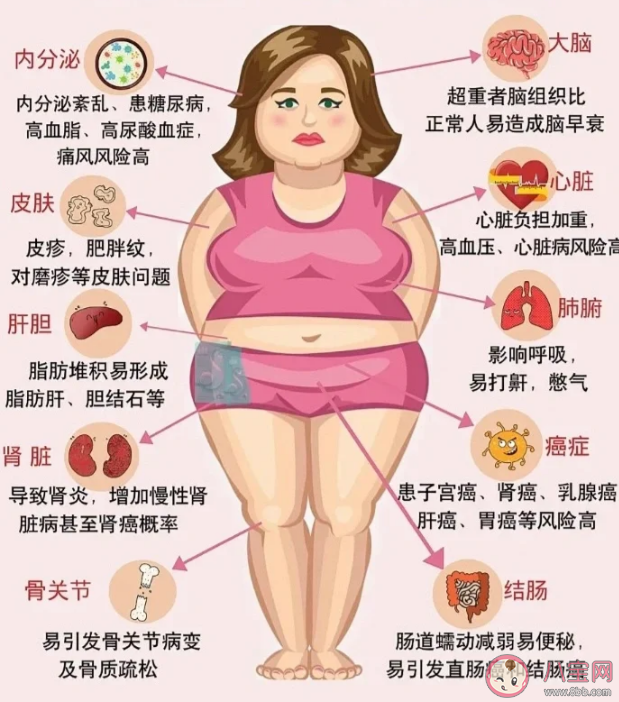 肥胖會引起心理問題嗎 肥胖容易引起什么心理疾病 肥胖會引起心理問題嗎 肥胖容易引起什么心理疾病