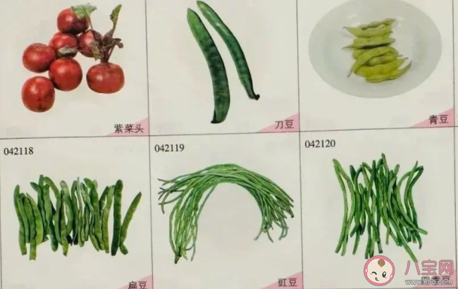 為什么推薦夏天多吃鮮豆 夏天吃鮮豆有什么好處