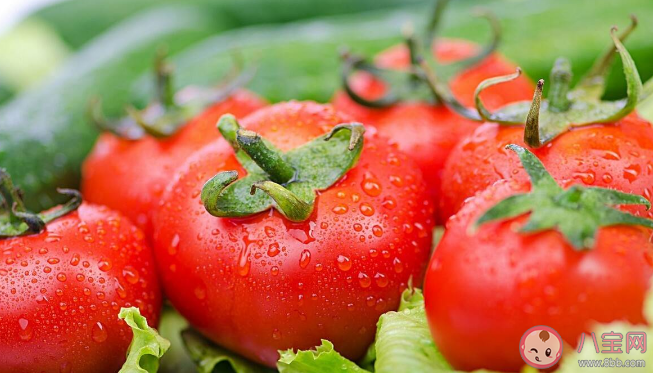 西紅柿為什么沒以前有味道了 吃西紅柿可以預防高血壓嗎