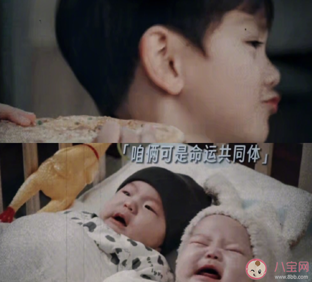 《獨家童話》原著小說是什么 《獨家童話》講的是什么故事