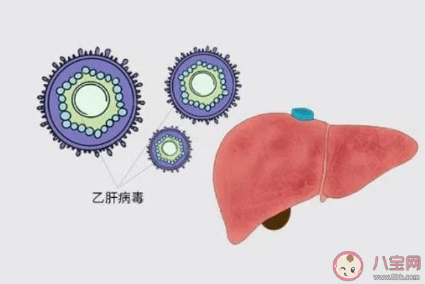 乙肝媽媽可以母乳喂養(yǎng)嗎 乙肝患者不能生小孩嗎