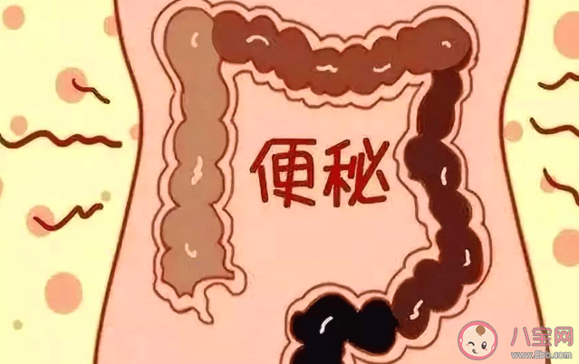 便秘是如何影響全身健康的 老年人便秘會有生命危險嗎