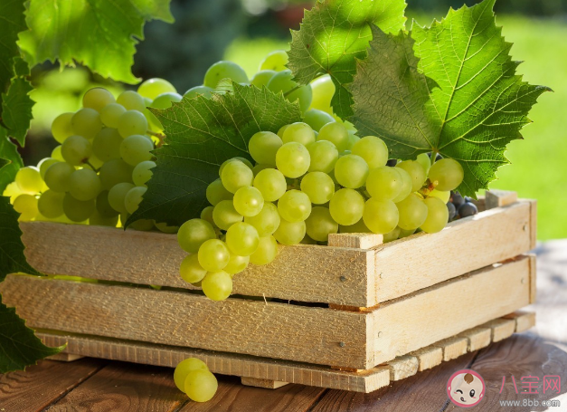 吃葡萄可以抵抗紫外線防曬嗎 葡萄有哪些美味做法