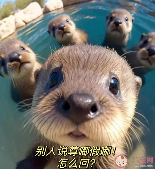 尊嘟假嘟是什么梗出處來(lái)源是什么 別人說(shuō)尊嘟假嘟怎么回 尊嘟假嘟是什么梗出處來(lái)源是什么 別人說(shuō)尊嘟假嘟怎么回