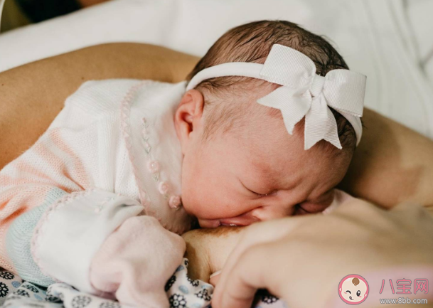 母乳喂養不是媽媽一個人的事 哺乳期間重返職場如何喂奶