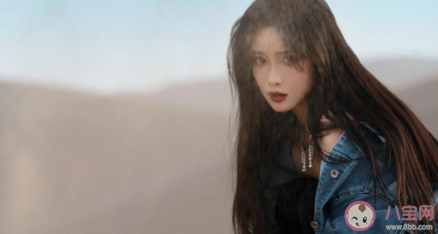 《西出玉門》龍芝結局是什么 《西出玉門》講的是什么