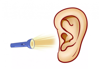 蚊蟲鉆入耳朵別用手去掏 如何預防昆蟲入耳