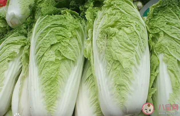 魯迅筆下的膠菜指的是哪種菜 螞蟻莊園8月5日答案最新