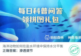 海洋動物如何在鹽水環境中保持水分平衡 2023神奇海洋8月4日答案