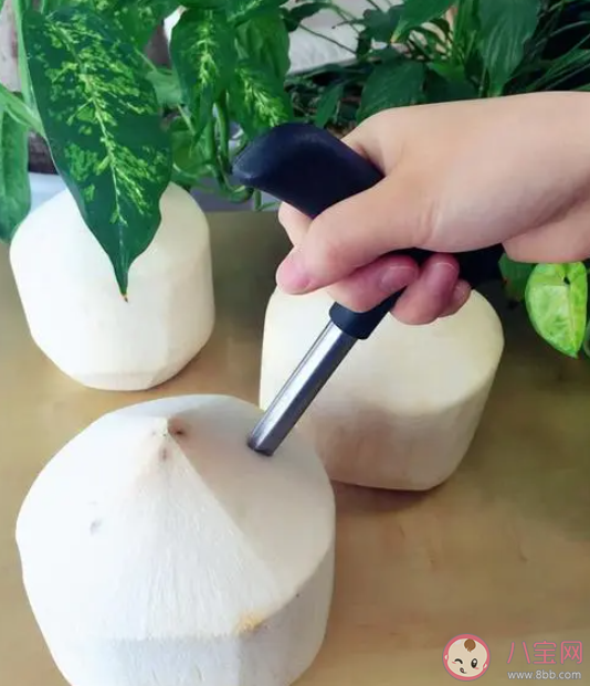 用口香糖真有可能砸開椰子嗎 螞蟻莊園8月6日答案介紹 用口香糖真有可能砸開椰子嗎 螞蟻莊園8月6日答案介紹