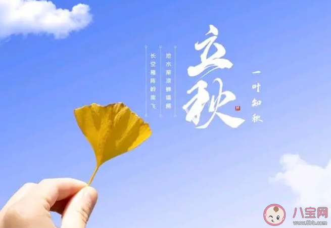 2023螞蟻莊園8月8日答案 以下哪句詩描寫的是立秋時節的景象 2023螞蟻莊園8月8日答案 以下哪句詩描寫的是立秋時節的景象