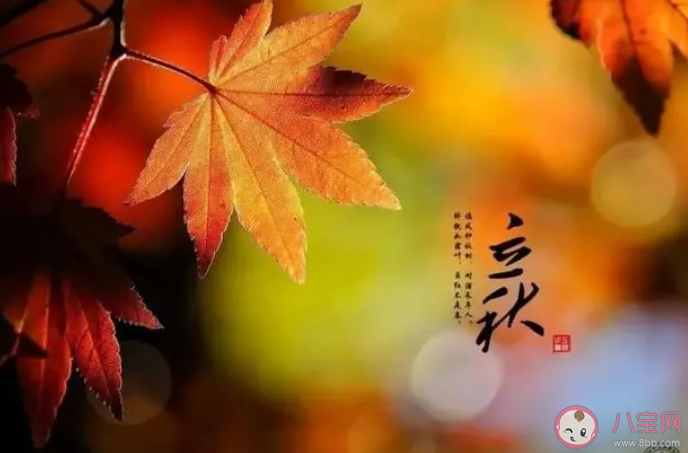 古代有梧桐報(bào)秋的習(xí)俗與哪個(gè)成語(yǔ)有關(guān) 2023螞蟻莊園8月8日答案