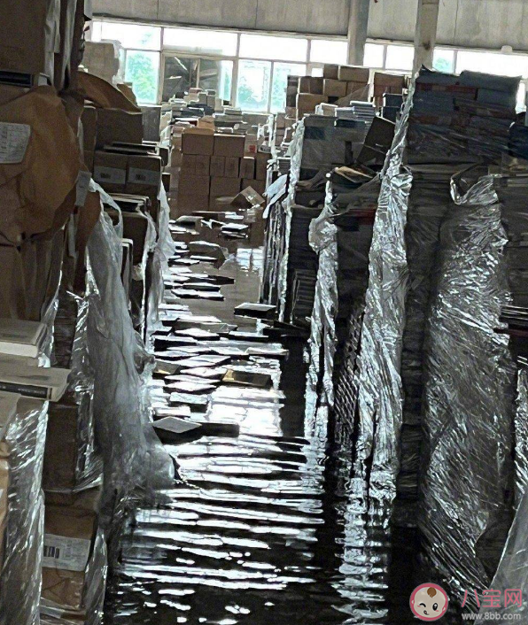 被水泡過的書還能看嗎 被水泡過的書為什么不能再用 被水泡過的書還能看嗎 被水泡過的書為什么不能再用