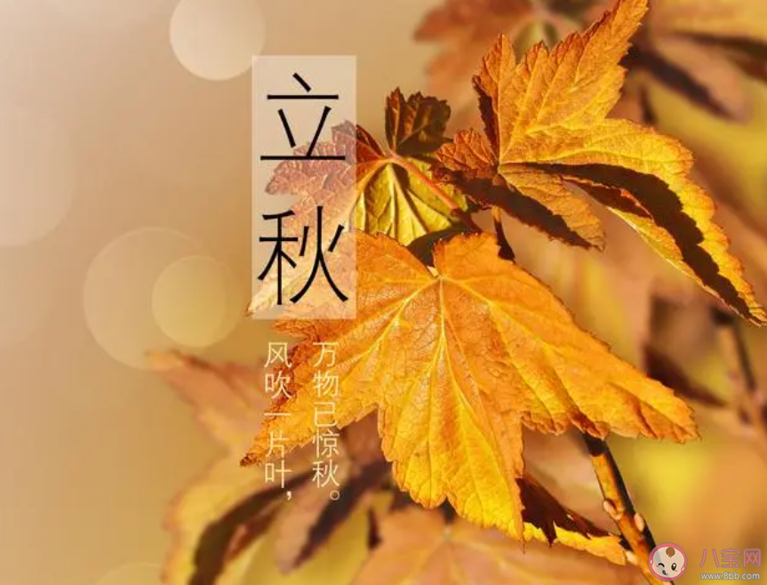 2023立秋大家都吃什么 立秋有哪些習俗