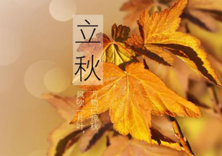 2023立秋大家都吃什么 立秋有哪些習俗