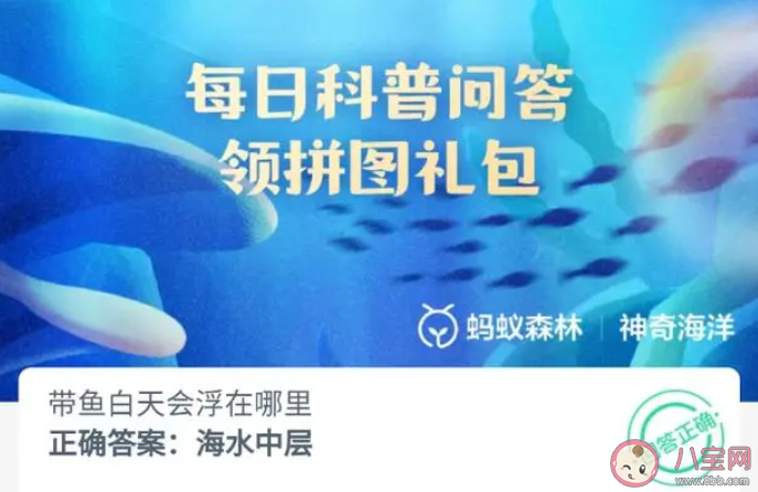 帶魚白天會浮在哪里 神奇海洋8月8日答案2023