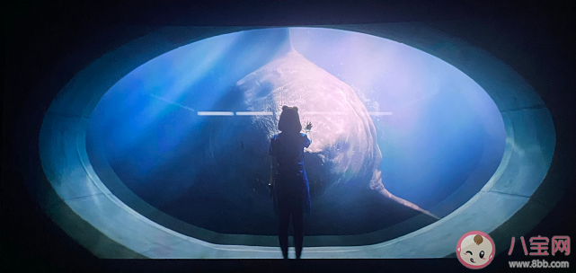 《巨齒鯊2》口碑評分怎么樣 《巨齒鯊2》有哪些亮點