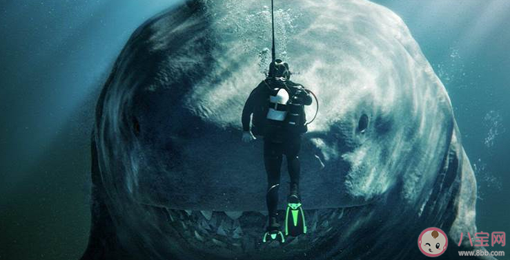 《巨齒鯊2》口碑評分怎么樣 《巨齒鯊2》有哪些亮點