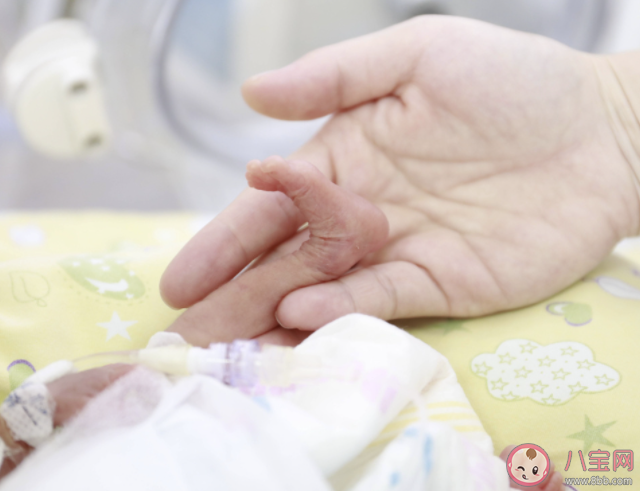 院士稱當(dāng)前育齡女性生育力堪憂 生育力受到哪些因素影響