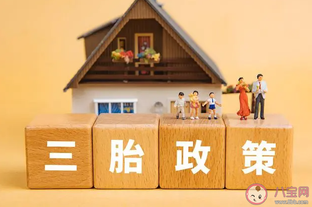 院士稱當(dāng)前育齡女性生育力堪憂 生育力受到哪些因素影響