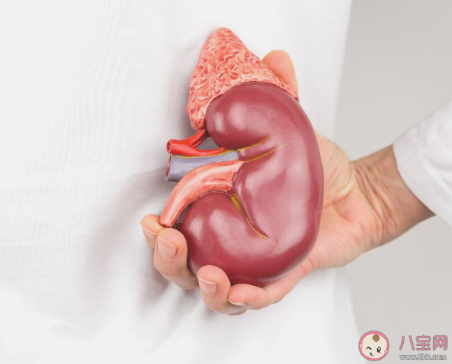 結(jié)石不痛就不用管了嗎 如何預(yù)防結(jié)石的形成