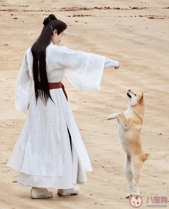 《蓮花樓》結局是HE還是BE 《蓮花樓》拍了兩個結局嗎