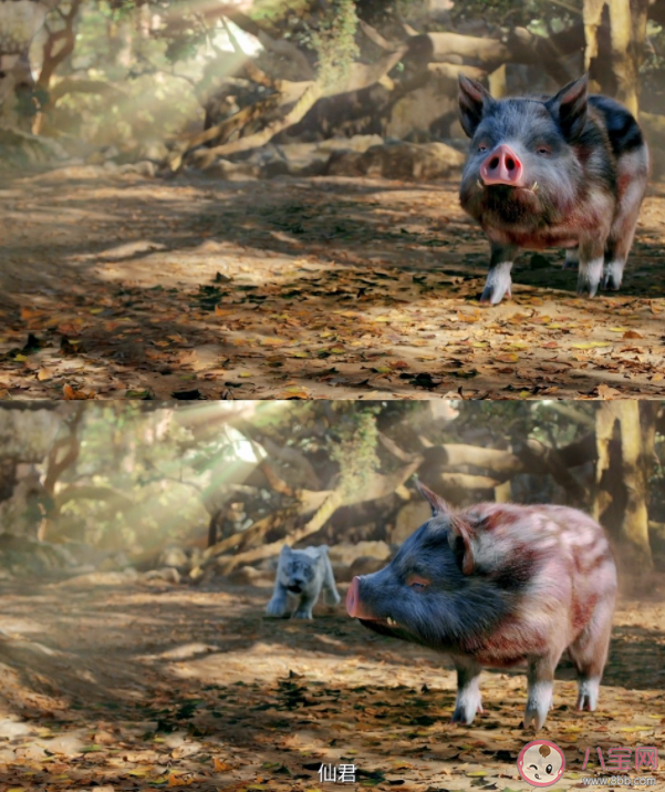 《七時吉祥》第一世講的是什么 第一世結局怎樣 《七時吉祥》第一世講的是什么 第一世結局怎樣