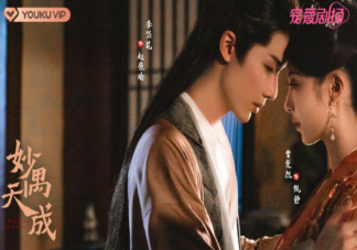 《妙偶天成》原著小說是什么 《妙偶天成》劇情怎么樣