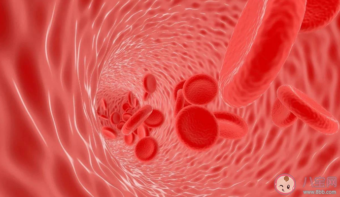 以為在休息其實(shí)最耗氣血的行為 氣血不足表現(xiàn)有哪些 以為在休息其實(shí)最耗氣血的行為 氣血不足表現(xiàn)有哪些