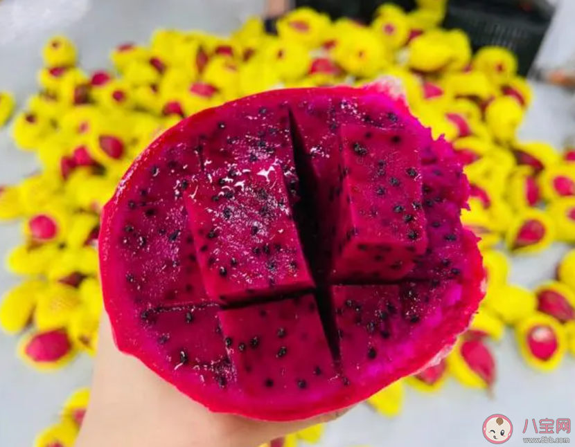 減肥期間能吃火龍果嗎 火龍果吃了有什么好處 減肥期間能吃火龍果嗎 火龍果吃了有什么好處