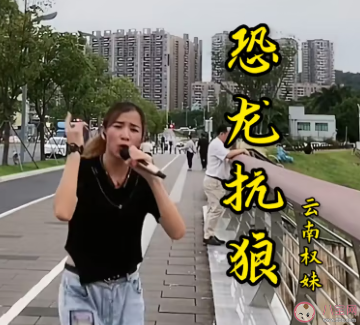 恐龍扛狼為何全網(wǎng)刷屏 恐龍扛狼是什么歌 恐龍扛狼為何全網(wǎng)刷屏 恐龍扛狼是什么歌