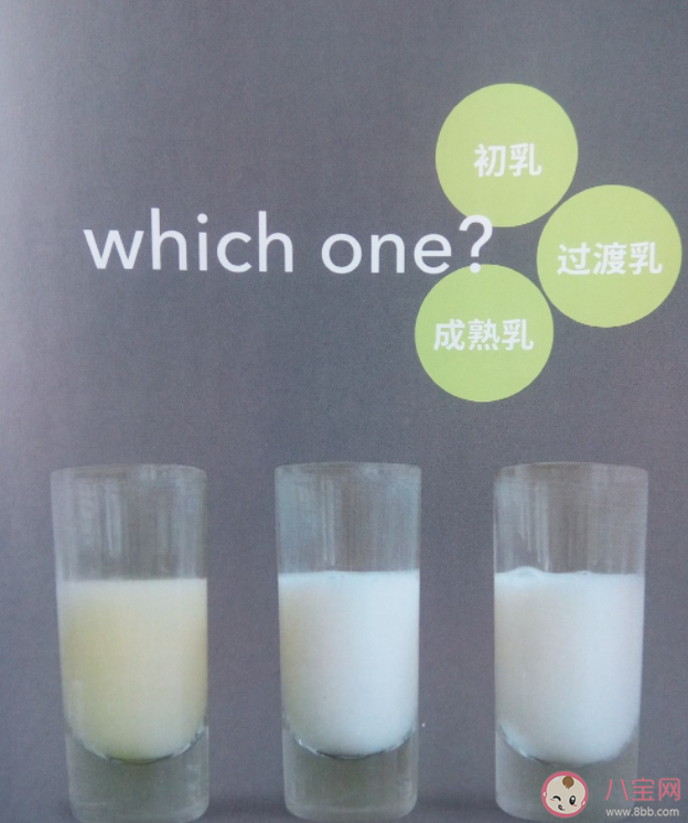 初乳是什么 初乳能給嬰兒喝嗎