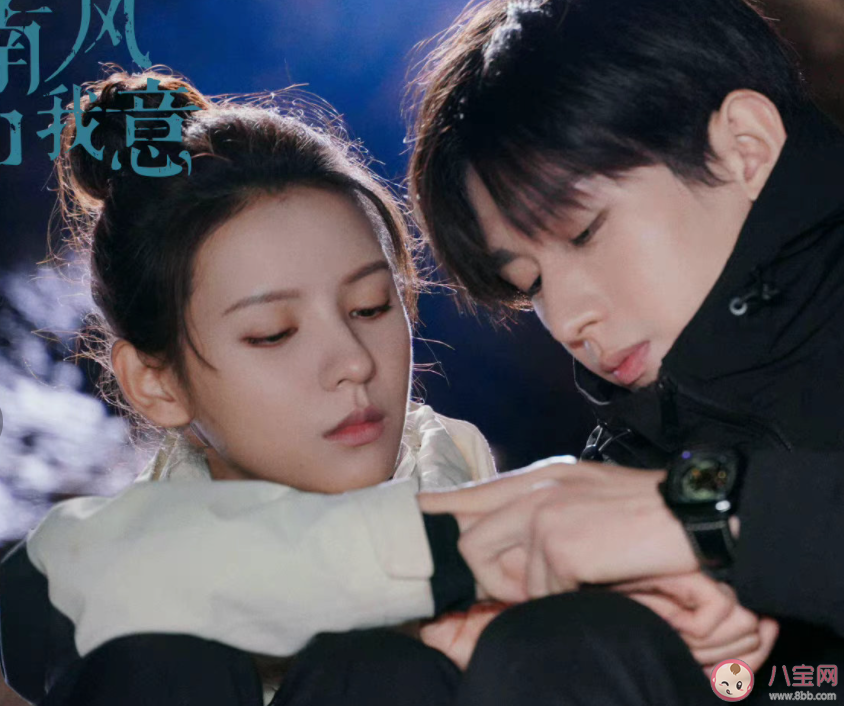 《南風知我意》原著小說是什么 《南風知我意》結局是好是壞