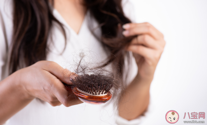 哪個季節是脫發高峰期 脫發了該做哪些檢查 哪個季節是脫發高峰期 脫發了該做哪些檢查