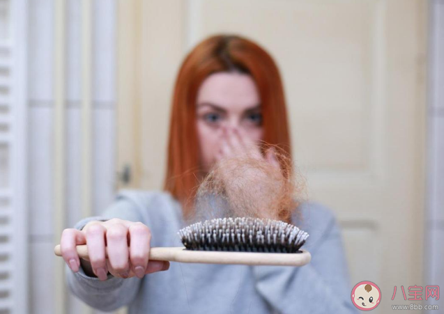 哪個季節是脫發高峰期 脫發了該做哪些檢查 哪個季節是脫發高峰期 脫發了該做哪些檢查