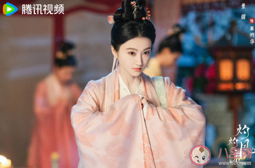 《灼灼風流》追劇日歷 《灼灼風流》更新時間表