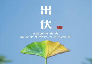 出伏了還要熱多久2023 出伏了哪些事情不要做