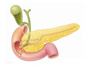膽囊結石發病率越來越高嗎 如何預防膽囊結石